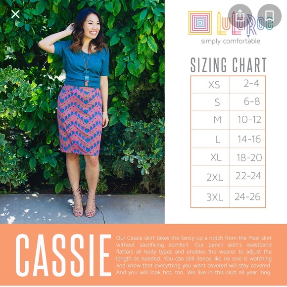 LulaRoe elegant Cassie skirt - Picture 4 of 4